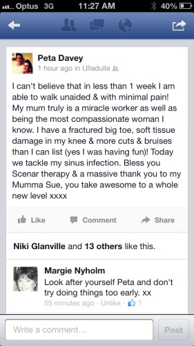 Peta Davey Scenar Refence